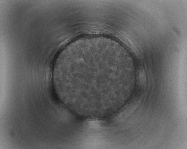 X0000116570228201001071201