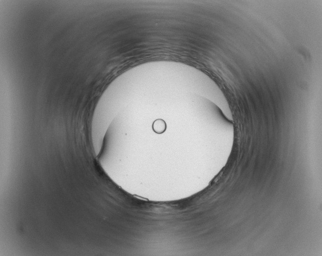 X0000116570229201001071201