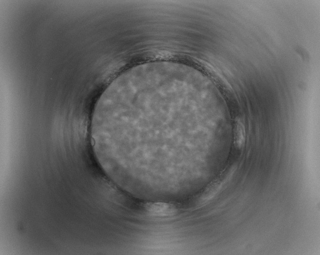 X0000116570230201001071201