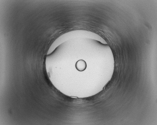 X0000116570231201001071201