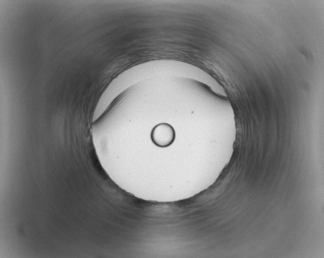 X0000116570237201001071201