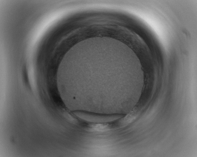 X0000116570239201001071201