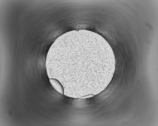 X0000116570240201001071201