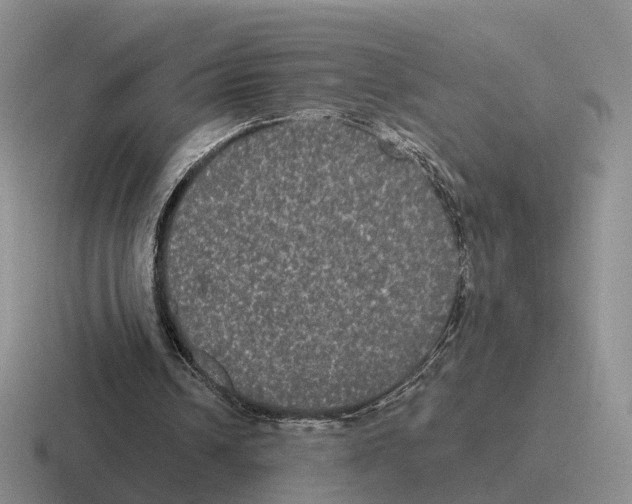 X0000116570242201001071200