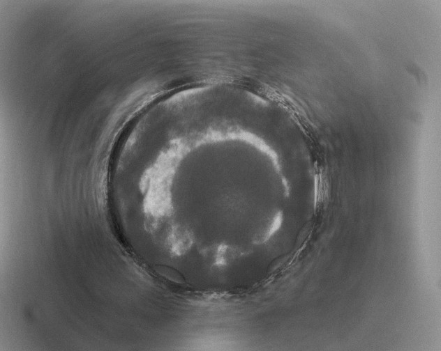 X0000116570243201001071200