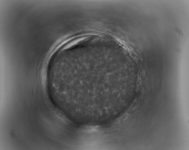 X0000116570247201001071200