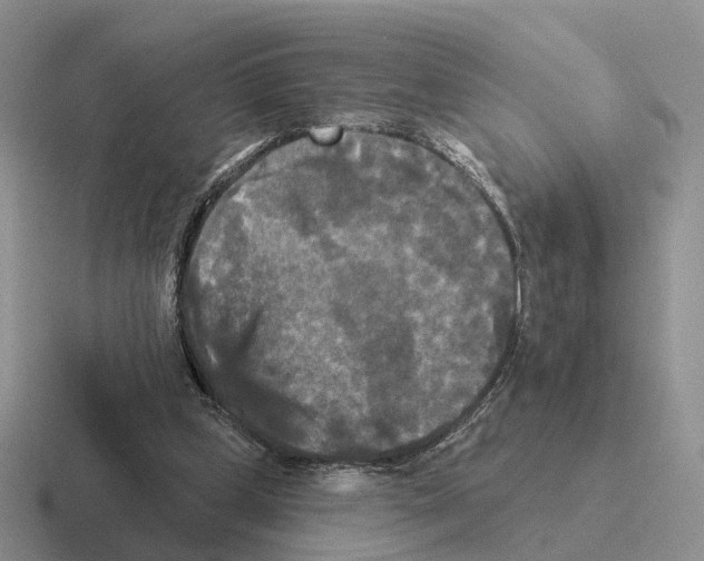 X0000116570249201001071200