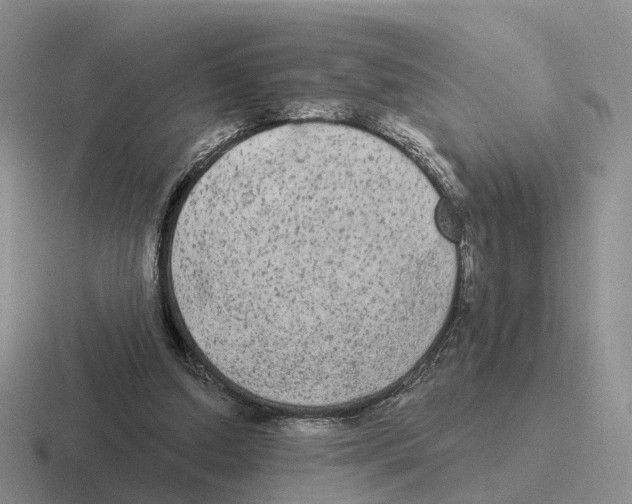 X0000116570250201001071200