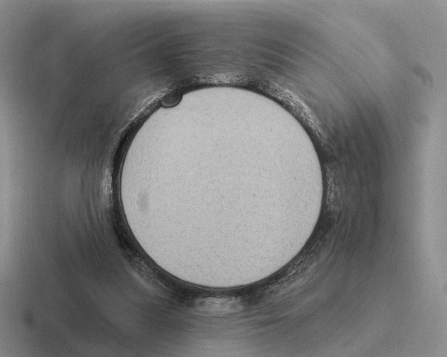 X0000116570251201001071200