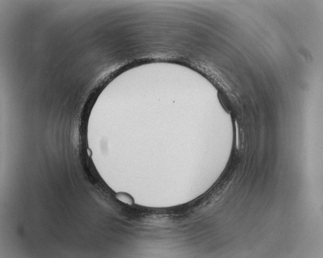 X0000116570252201001071200