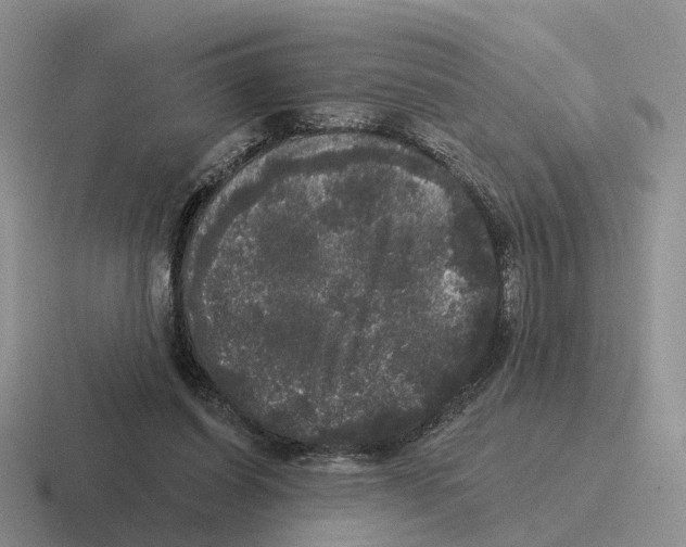 X0000116570254201001071200