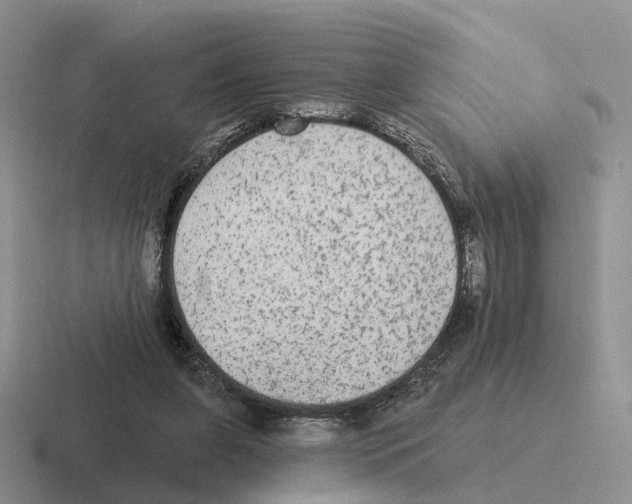 X0000116570255201001071200