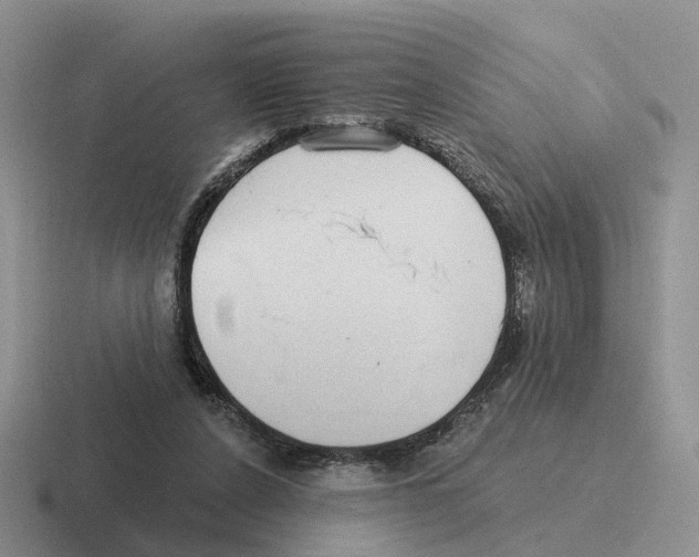 X0000116570256201001071200