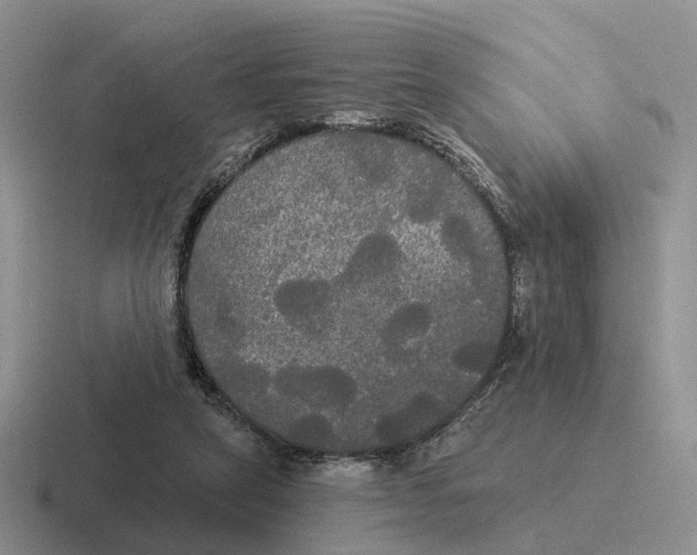 X0000116570257201001071200