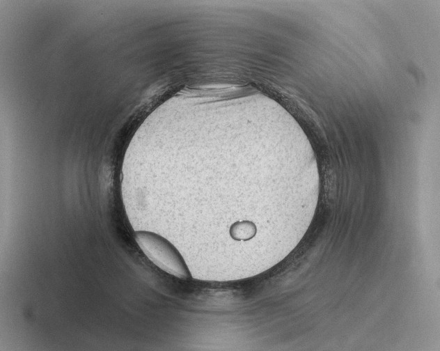 X0000116570260201001071200