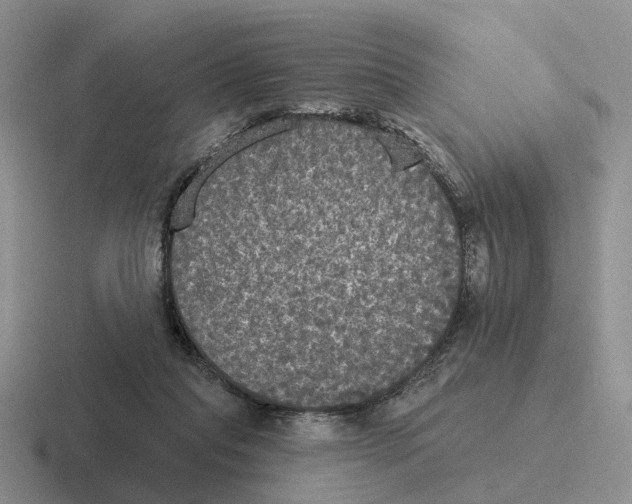 X0000116570261201001071200