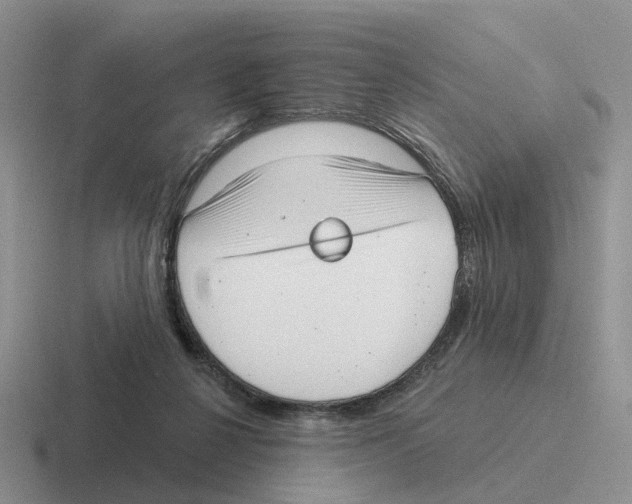 X0000116570264201001071200