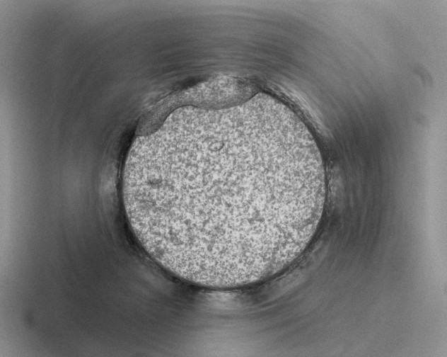 X0000116570265201001071200