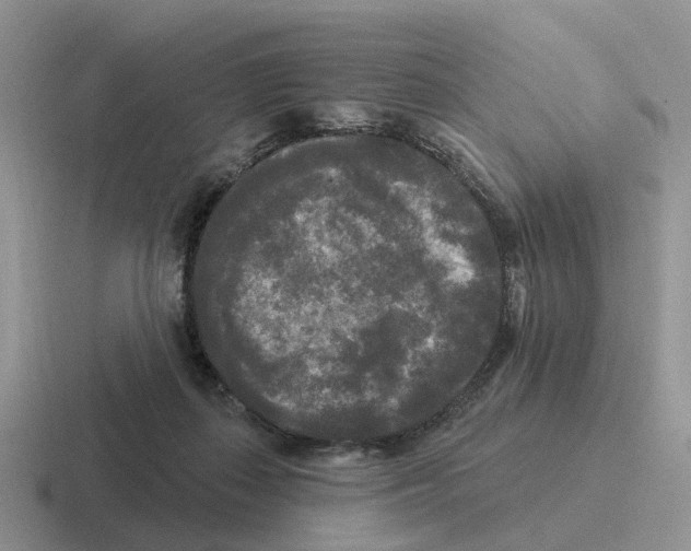 X0000116570267201001071200