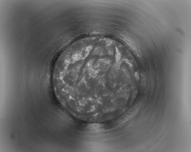 X0000116570269201001071200