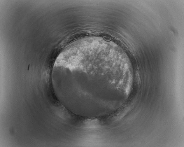 X0000116570271201001071200