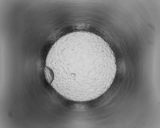 X0000116570272201001071200