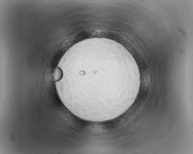 X0000116570276201001071200