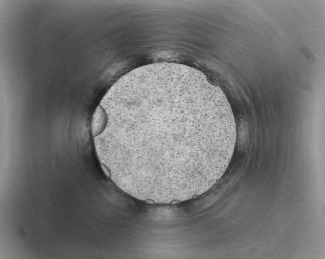 X0000116570282201001071200