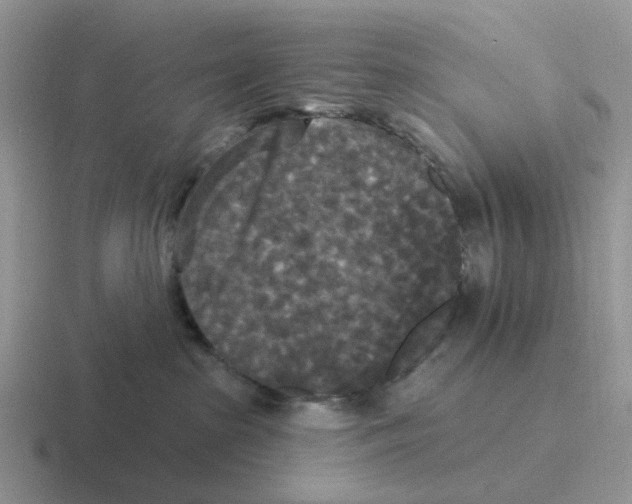 X0000116570285201001071200