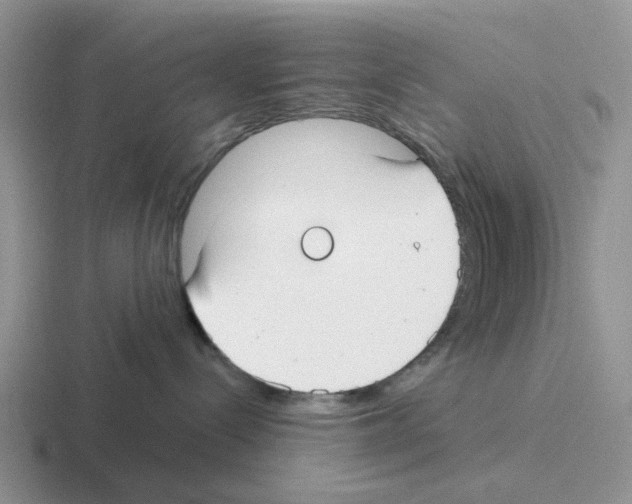 X0000116570288201001071200