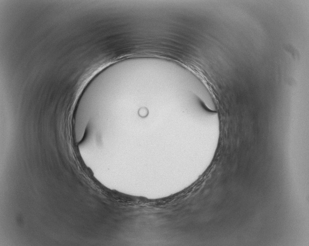 X0000116570289201001071200