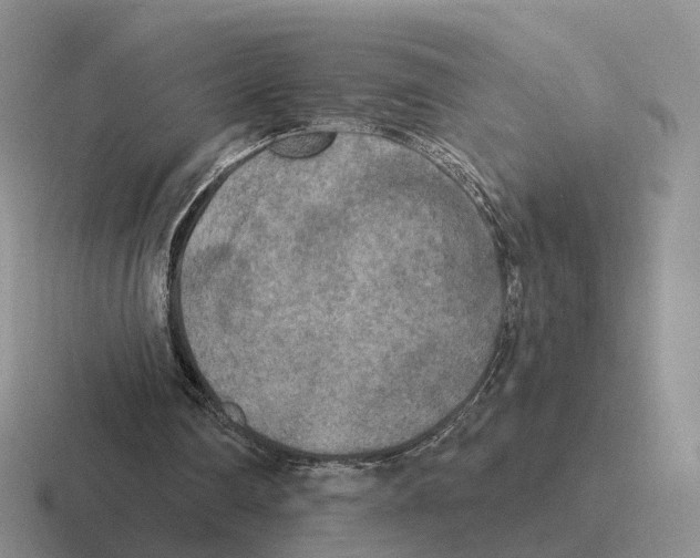 X0000116570290201001071200