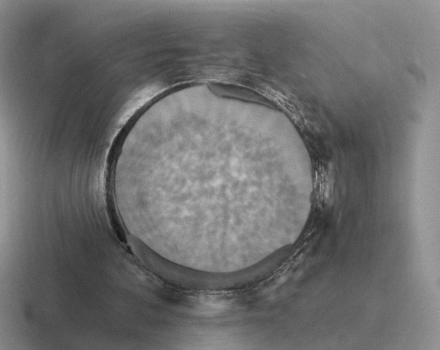 X0000116570292201001071200