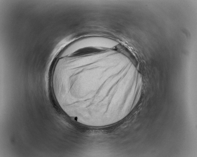 X0000116570296201001071200