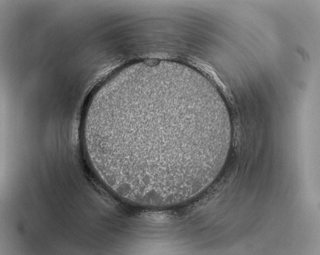 X0000116570299201001071200