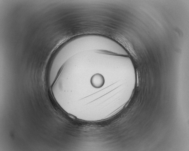 X0000116570300201001071200