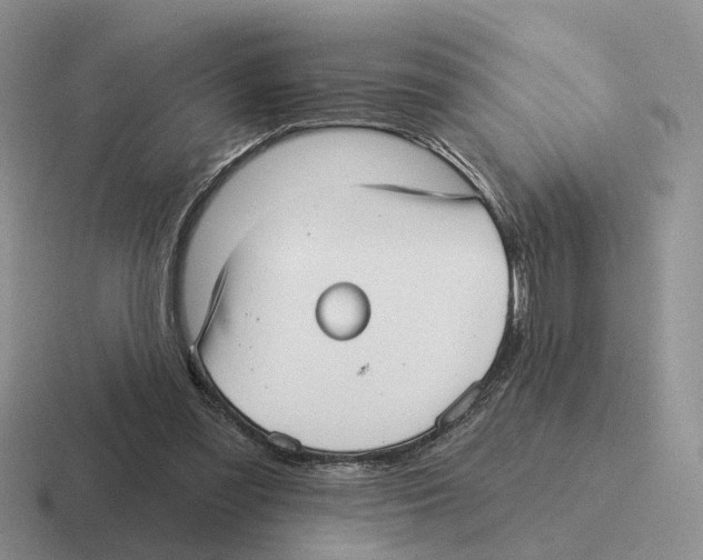 X0000116570301201001071200