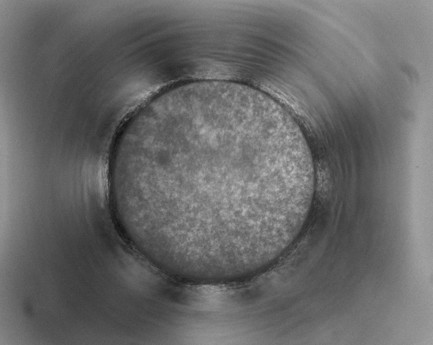 X0000116570302201001071200