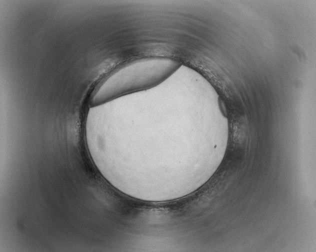 X0000116570304201001071200