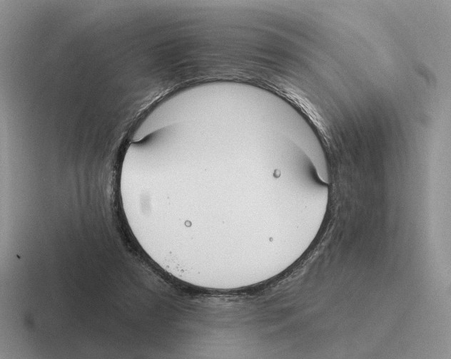 X0000116570305201001071200