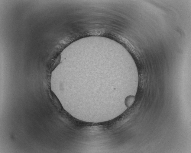 X0000116570307201001071200