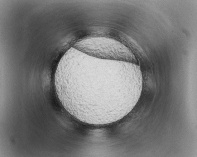 X0000116570312201001071200