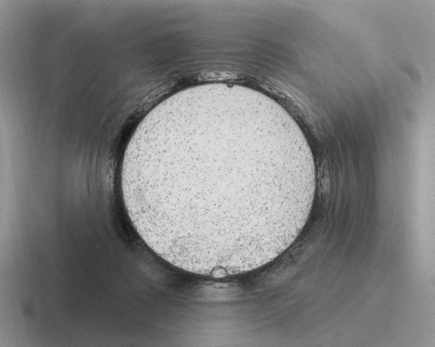 X0000116570315201001071200