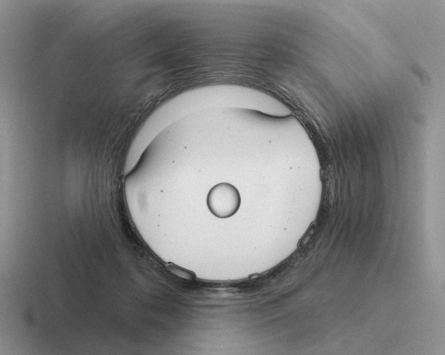 X0000116570316201001071200