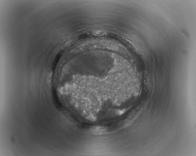 X0000116570319201001071200