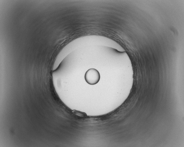 X0000116570320201001071159