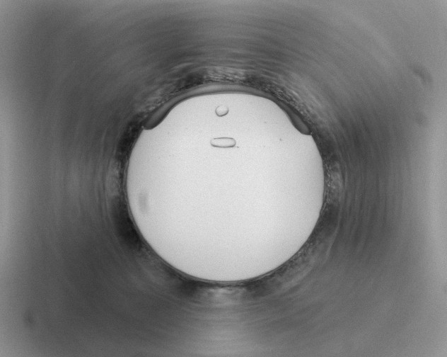 X0000116570323201001071159