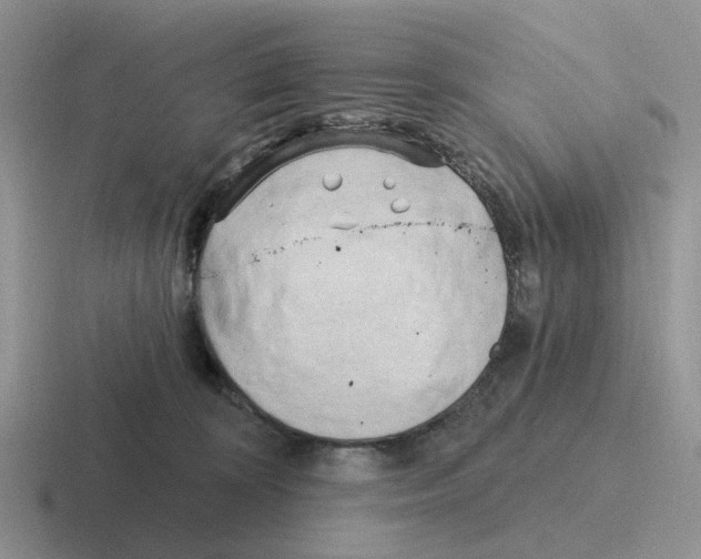 X0000116570324201001071159