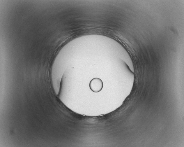 X0000116570325201001071159