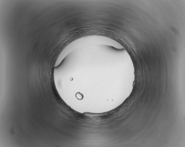 X0000116570328201001071159